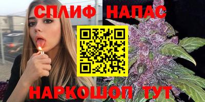 сатива Шебекино