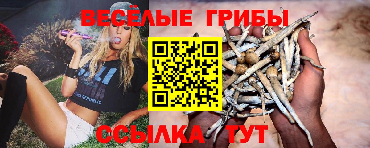 Ачинск  Галлюциногенные грибы Psilocybe  Вход с VPN  Псилоцибиновые грибы Magic Shrooms 