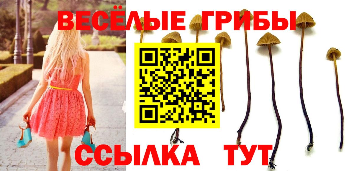 Галлюциногенные грибы прущие грибы Ачинск